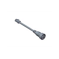 Amphenol LTW RCP5SM-SPG06M-TL7B15 Cat 5e RJ, Middle Size, Plastic, 1.5A, Cat 5e, Straight-to-Straight, 3 Points Lock, Overmolded Double Ended, Length 15000mm, IP67