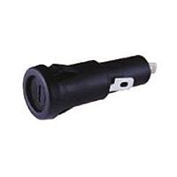 Shin Chin R3-49C Slotted Cap  10A/250VAC