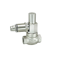 Senseca G-015GR Flow switch (DN 15 - G 1 /2)