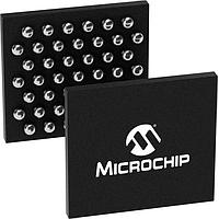 Microchip Technology ZL38AMBUGB2 Security Camera Ambarella IP Camera Audio Processor