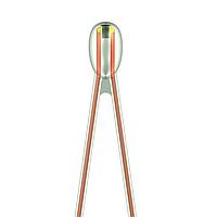 EPCOS B57550G0202F000 NTC G550/ 2K/ F 1% NTC Thermistor