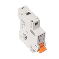 Weidmuller 2479420000 Circuit Breakers MCB 1077 1P B 15A ACDC
