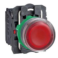 SCHNEIDER XB5AW34B5 Flush PUSH BUTTON LED 250V 22MM XB5B