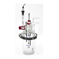 GAMRY MultiPort Corrosion Cell Kit Electrochemical Cells (Working Volume: Between 400 mL and 1200 mL)