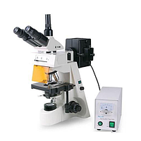 HINOTEK XYL-146YAT Epi-fluorescence microscope (4X-100X)