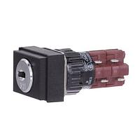 EAO 51-395.025D Keylock Switches KYLK SQ MNT 2POS