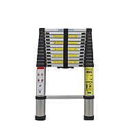 ladder