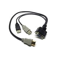 Lantronix 500-196-R-ACC I/O Cables CABLE AY SPIDER DUO USB LOCAL STD 21.6
