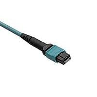 Molex 106284-1002 Fiber Optic Cable Assemblies CXP Optical Cbl MTP toMTP MM50 OFNR 2m