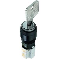 RAFI 1.15.114.006/1306 Pushbutton Switches LUMOTAST FK Pshbtn illuminable red