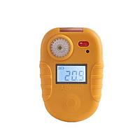 Single Gas Meter Inspection Service