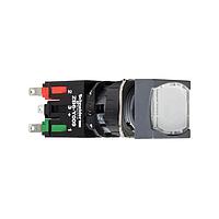 SCHNEIDER XB6CF1B5B Pushbutton Switches PUSHBUTTON 240VAC 1 .5AMP XB6