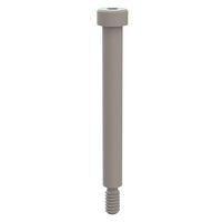 Essentra Components 31025200 Shoulder Screw Shoulder Screw, Hex Socket, #10-24 Thread