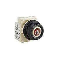 Square D 9001SKP35LR Indicators PILOTLIGHT 28V 30MM SK