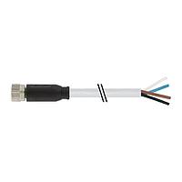 Murrelektronik 7000-08061-2110500 Connectors M8 female 0 with cable, PVC 4x0.25 gy UL/CSA 5m