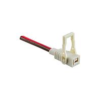 Amphenol LTW SSL11-J2LJ0-B22A02 Lighting Cables SSL 1.1, Plastic, 3A, 02 pins, Jack Connector, Straight, Crimp, Field Installable