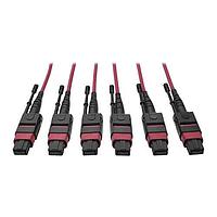 Tripp Lite N858-61M-3X8-MG Fiber Optic Cable Assemblies 61M, OM4 3X8 MTP TRUNK CABLE