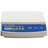 Precision scale