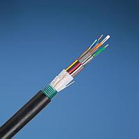 Panduit FOWNX12 Multimode 50um OM3 12 Fiber Outside Plant Armored