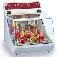 Incubator