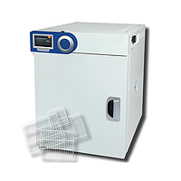 Incubator