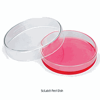Dishes & Plate