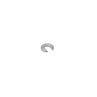 KERN 347-057-N00 Newton weight (20 cN, type B)