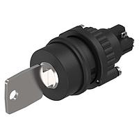 Rotary Switches