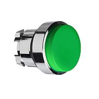 SCHNEIDER ZB4BL3 Head PUSH BUTTON