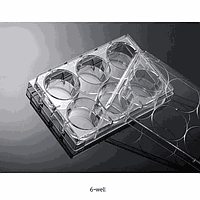 Biofil J1.C001.384 Culture Plate 384 well, PS, Non-treated, with Lid Sterile