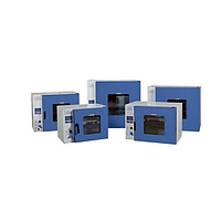 HINOTEK DHG-9203A Blast Air Drying Oven (RT + 10-250 ° C)