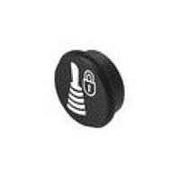 EAO 09-0S12.3306 Keypad Symbol Insert 09.Caps Color Black.Backlight Color White.3306, Joystick control, lock