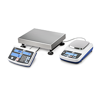 Counting Scale