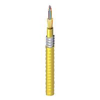 Belden FISD024F9 Simplex/Singlemode FI DN_TB OS2 24F OFCR_AIA