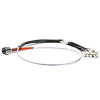 Amphenol FSI 17053010QA-D1 Fiber Optic Cable Assemblies Pin Termini Fanout Assy 12CH MM 1M