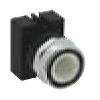 Interlock Switches