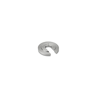 KERN 347-077 OIML Class M1 Single Weight (100 g; +/- 5 mg)